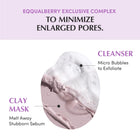EQQUALBERRY - Purple Rice Pore Purifying Pack Cleanser