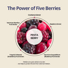 HEVEBLUE - Penta Berry Panthenol Repair Peel Pad