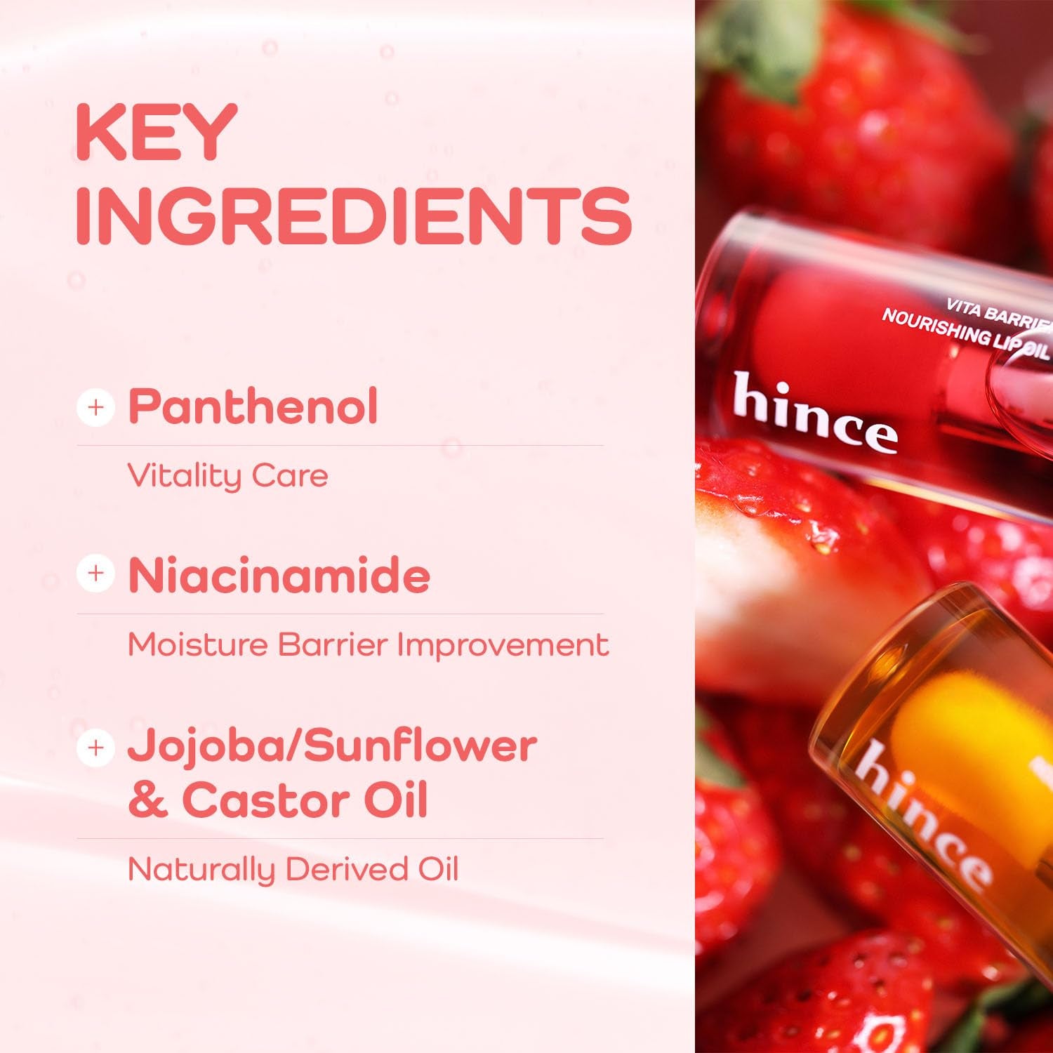 hince - Vita Barrier Nourishing Lip Oil - 2 Types