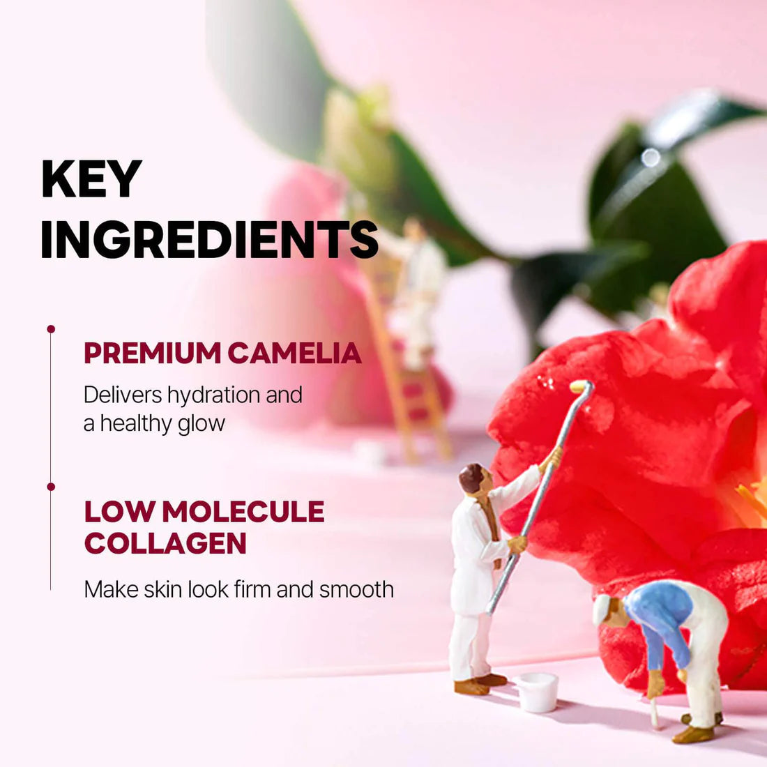 ROUND LAB - Camellia Deep Collagen Firming Gel Mask Set