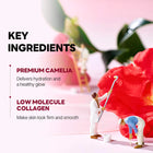 ROUND LAB - Camellia Deep Collagen Firming Gel Mask Set