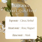 d'ALBA - Weißes Trüffelöl Serum Körperreiniger 275ml