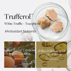 d'ALBA - Professionelles reparierendes Kopfhaut-Therapie-Serum-Shampoo [275ml]