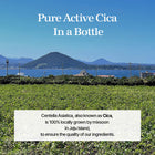 mixsoon - Soondy Centella Asiatica Essenz 100ml